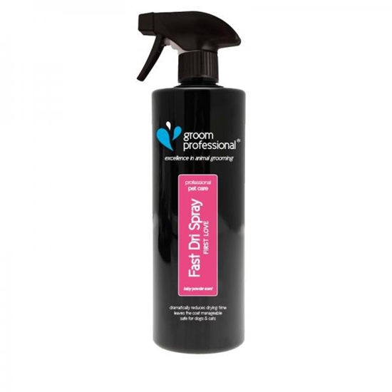 Picture of Groom Professional Fast Dri First Love Spray